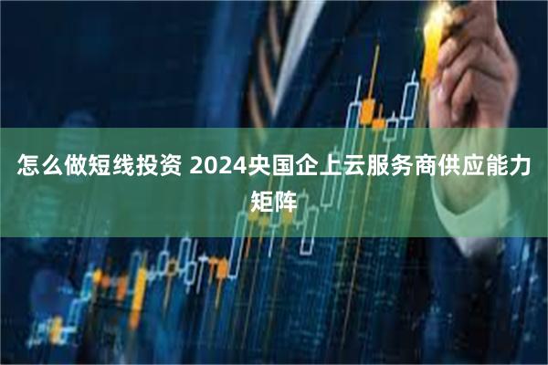 怎么做短线投资 2024央国企上云服务商供应能力矩阵