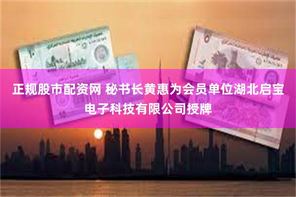 正规股市配资网 秘书长黄惠为会员单位湖北启宝电子科技有限公司授牌