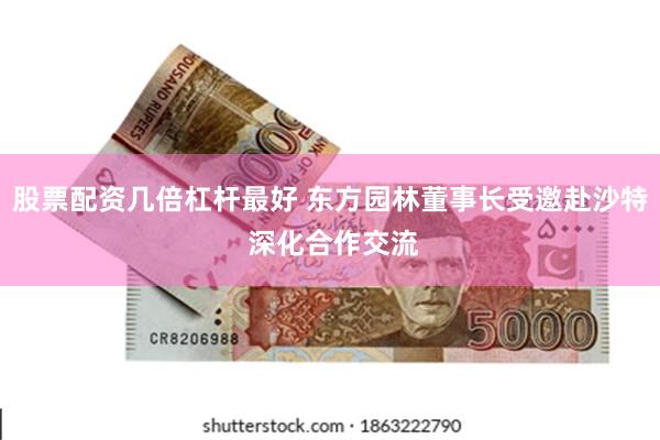 股票配资几倍杠杆最好 东方园林董事长受邀赴沙特 深化合作交流