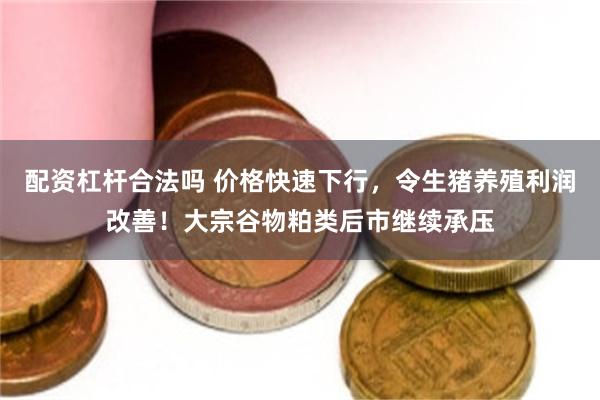 配资杠杆合法吗 价格快速下行，令生猪养殖利润改善！大宗谷物粕类后市继续承压