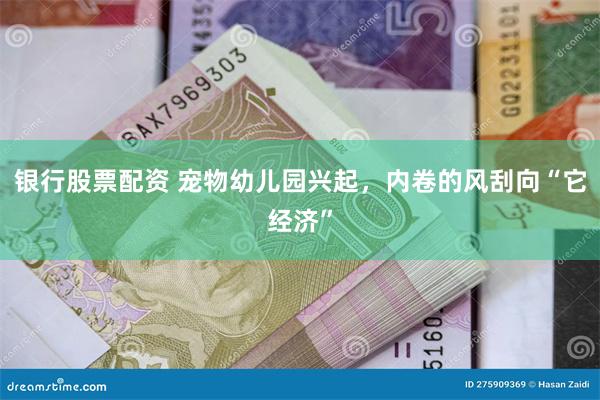 银行股票配资 宠物幼儿园兴起，内卷的风刮向“它经济”