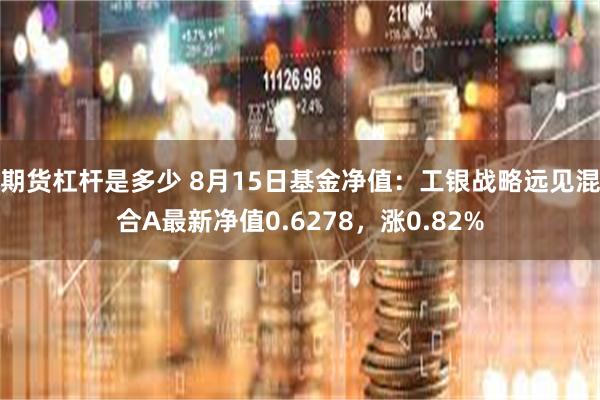 期货杠杆是多少 8月15日基金净值：工银战略远见混合A最新净值0.6278，涨0.82%