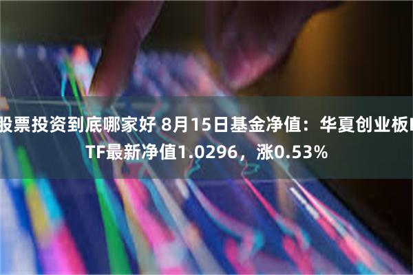 股票投资到底哪家好 8月15日基金净值：华夏创业板ETF最新净值1.0296，涨0.53%
