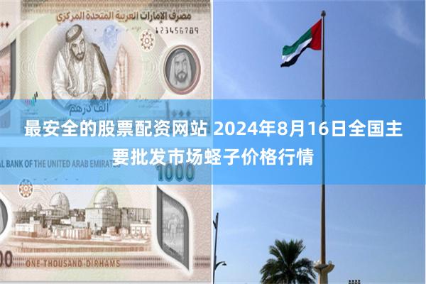 最安全的股票配资网站 2024年8月16日全国主要批发市场蛏子价格行情