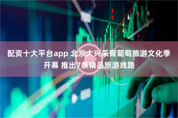 配资十大平台app 北京大兴采育葡萄旅游文化季开幕 推出7条精品旅游线路