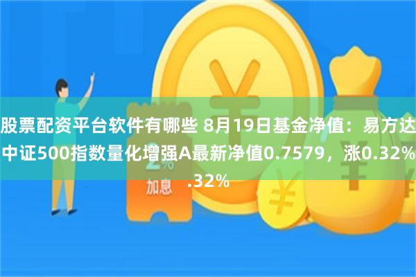 股票配资平台软件有哪些 8月19日基金净值：易方达中证500指数量化增强A最新净值0.7579，涨0.32%