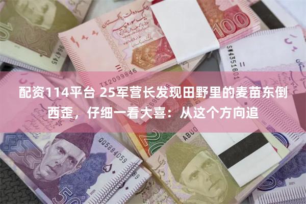 配资114平台 25军营长发现田野里的麦苗东倒西歪，仔细一看大喜：从这个方向追
