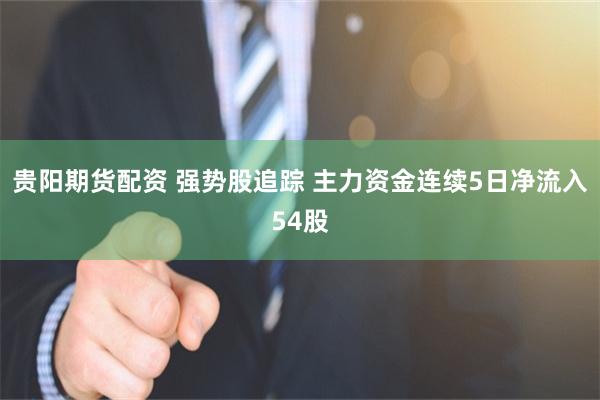 贵阳期货配资 强势股追踪 主力资金连续5日净流入54股