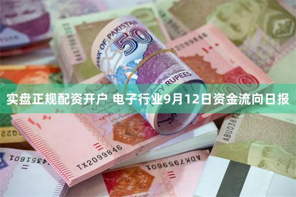 实盘正规配资开户 电子行业9月12日资金流向日报
