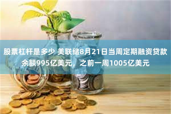 股票杠杆是多少 美联储8月21日当周定期融资贷款余额995亿美元，之前一周1005亿美元