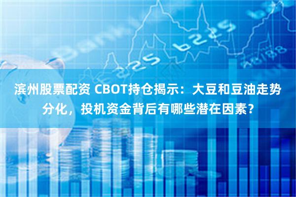 滨州股票配资 CBOT持仓揭示：大豆和豆油走势分化，投机资金背后有哪些潜在因素？