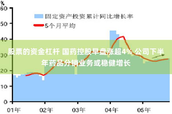 股票的资金杠杆 国药控股早盘涨超4% 公司下半年药品分销业务或稳健增长