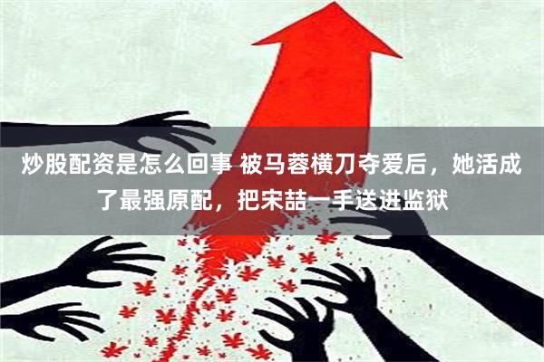 炒股配资是怎么回事 被马蓉横刀夺爱后，她活成了最强原配，把宋喆一手送进监狱
