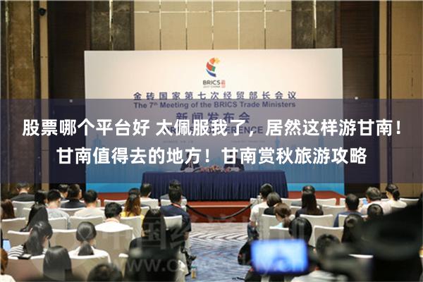 股票哪个平台好 太佩服我了，居然这样游甘南！甘南值得去的地方！甘南赏秋旅游攻略