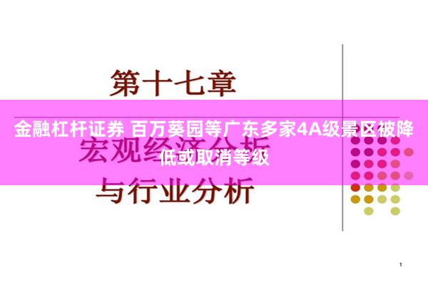 金融杠杆证券 百万葵园等广东多家4A级景区被降低或取消等级