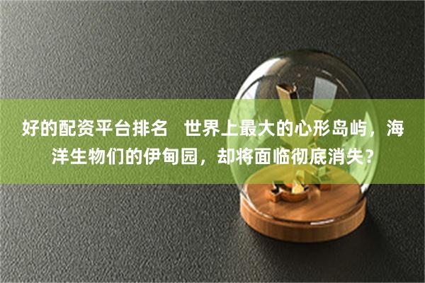 好的配资平台排名   世界上最大的心形岛屿，海洋生物们的伊甸园，却将面临彻底消失？