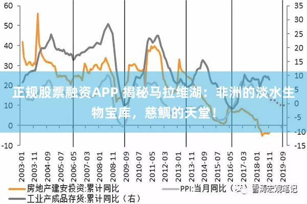 正规股票融资APP 揭秘马拉维湖：非洲的淡水生物宝库，慈鲷的天堂！