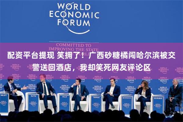 配资平台提现 笑拥了！广西砂糖橘闯哈尔滨被交警送回酒店，我却笑死网友评论区