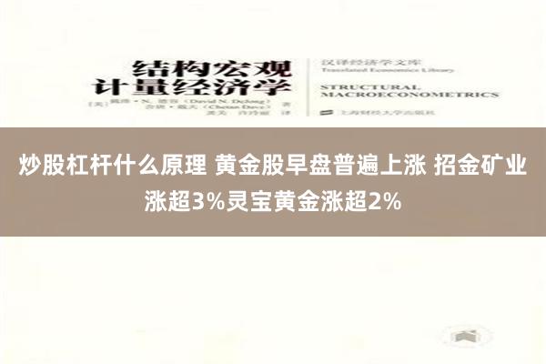 炒股杠杆什么原理 黄金股早盘普遍上涨 招金矿业涨超3%灵宝黄金涨超2%