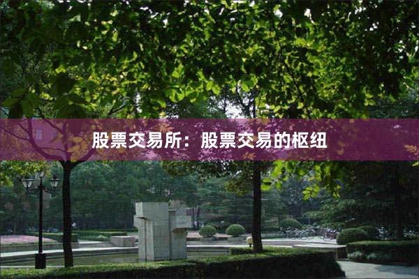 股票交易所：股票交易的枢纽