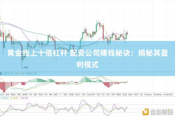 黄金线上十倍杠杆 配资公司赚钱秘诀：揭秘其盈利模式