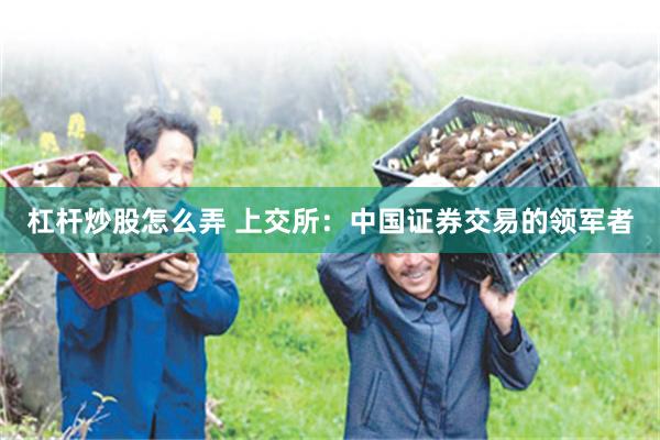 杠杆炒股怎么弄 上交所：中国证券交易的领军者