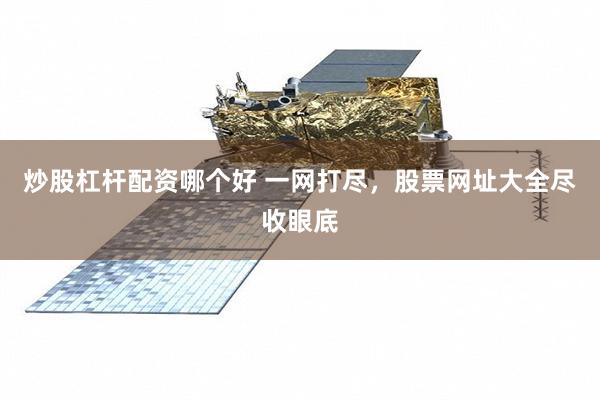 炒股杠杆配资哪个好 一网打尽，股票网址大全尽收眼底