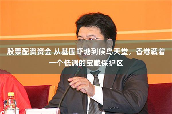 股票配资资金 从基围虾塘到候鸟天堂，香港藏着一个低调的宝藏保护区