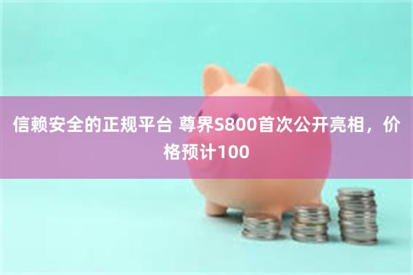 信赖安全的正规平台 尊界S800首次公开亮相，价格预计100