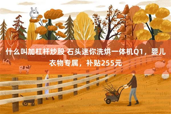 什么叫加杠杆炒股 石头迷你洗烘一体机Q1，婴儿衣物专属，补贴255元