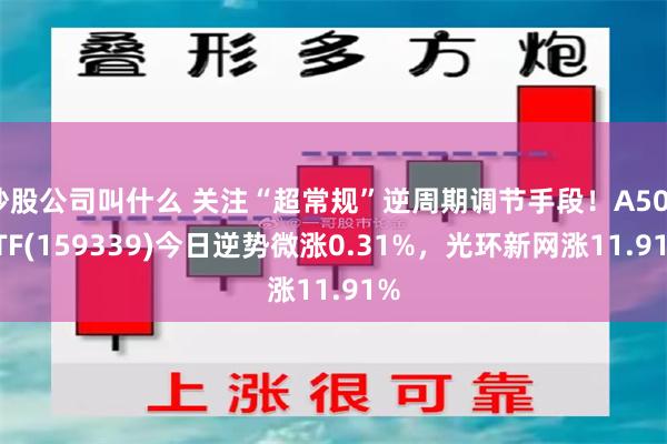 炒股公司叫什么 关注“超常规”逆周期调节手段！A500ETF(159339)今日逆势微涨0.31%，光环新网涨11.91%