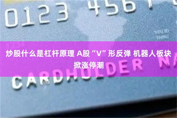 炒股什么是杠杆原理 A股“V”形反弹 机器人板块掀涨停潮