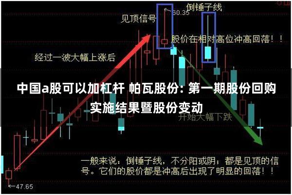 中国a股可以加杠杆 帕瓦股份: 第一期股份回购实施结果暨股份变动