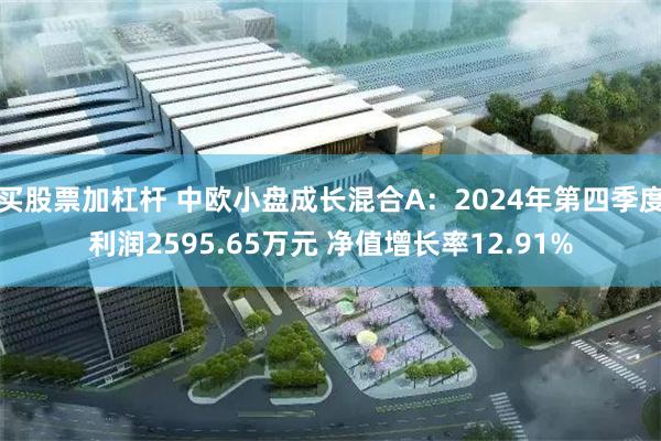 买股票加杠杆 中欧小盘成长混合A：2024年第四季度利润2595.65万元 净值增长率12.91%