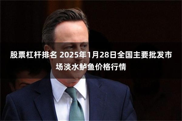 股票杠杆排名 2025年1月28日全国主要批发市场淡水鲈鱼价格行情