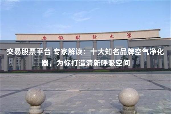 交易股票平台 专家解读：十大知名品牌空气净化器，为你打造清新呼吸空间