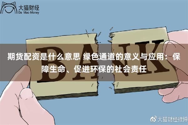 期货配资是什么意思 绿色通道的意义与应用：保障生命、促进环保的社会责任