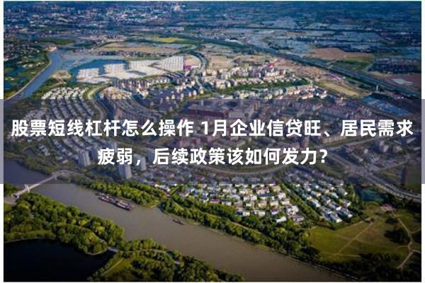 股票短线杠杆怎么操作 1月企业信贷旺、居民需求疲弱，后续政策该如何发力？