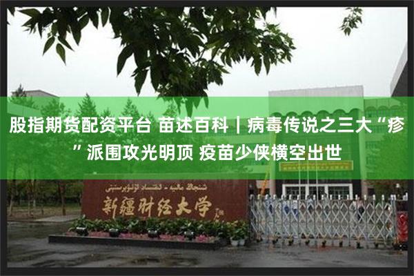 股指期货配资平台 苗述百科｜病毒传说之三大“疹”派围攻光明顶 疫苗少侠横空出世