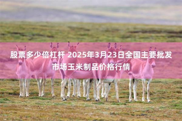 股票多少倍杠杆 2025年3月23日全国主要批发市场玉米制品价格行情