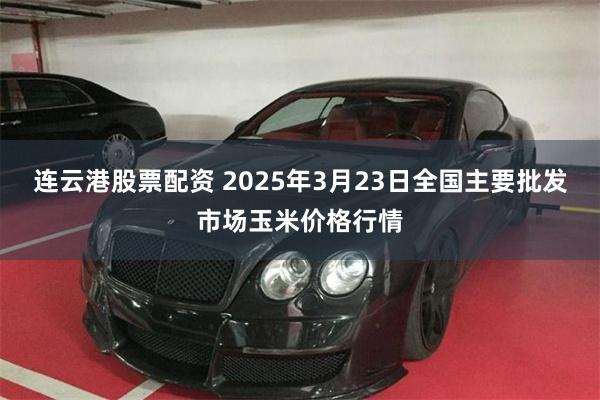 连云港股票配资 2025年3月23日全国主要批发市场玉米价格行情