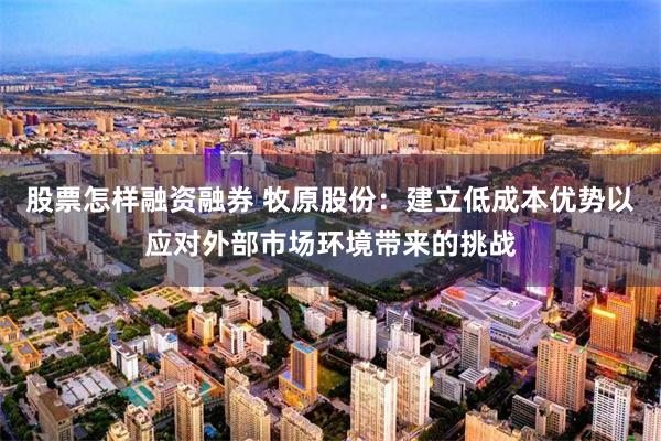 股票怎样融资融券 牧原股份：建立低成本优势以应对外部市场环境带来的挑战