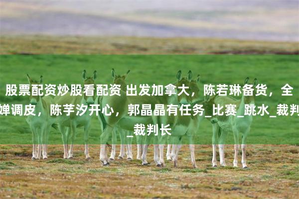 股票配资炒股看配资 出发加拿大，陈若琳备货，全红婵调皮，陈芋汐开心，郭晶晶有任务_比赛_跳水_裁判长