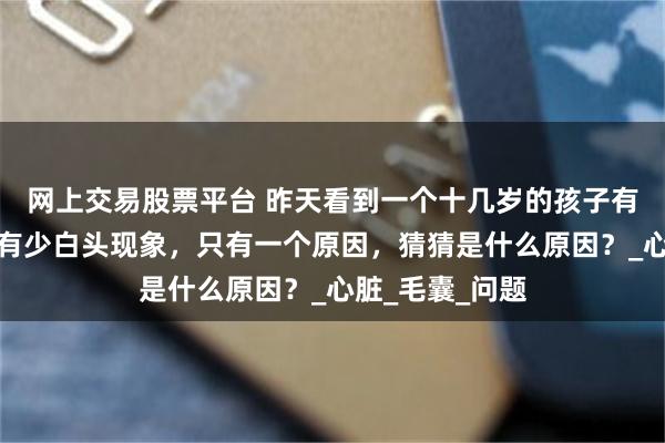 网上交易股票平台 昨天看到一个十几岁的孩子有少白头，孩子有少白头现象，只有一个原因，猜猜是什么原因？_心脏_毛囊_问题