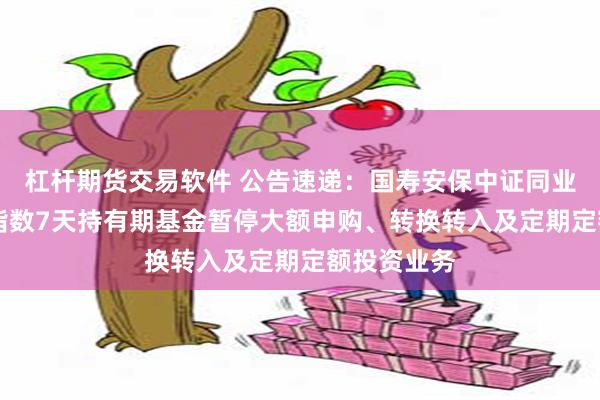 杠杆期货交易软件 公告速递：国寿安保中证同业存单AAA指数7天持有期基金暂停大额申购、转换转入及定期定额投资业务