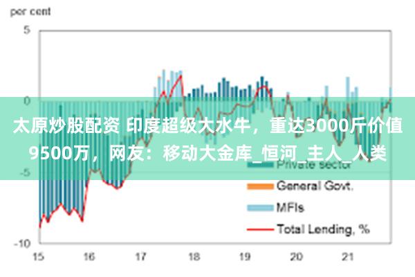 太原炒股配资 印度超级大水牛，重达3000斤价值9500万，网友：移动大金库_恒河_主人_人类