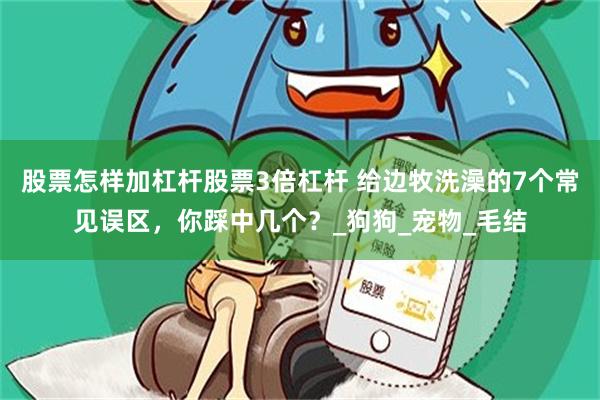 股票怎样加杠杆股票3倍杠杆 给边牧洗澡的7个常见误区，你踩中几个？_狗狗_宠物_毛结