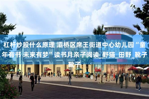 杠杆炒股什么原理 灞桥区席王街道中心幼儿园“童年有书 未来有梦”读书月亲子阅读_野猫_田野_靴子