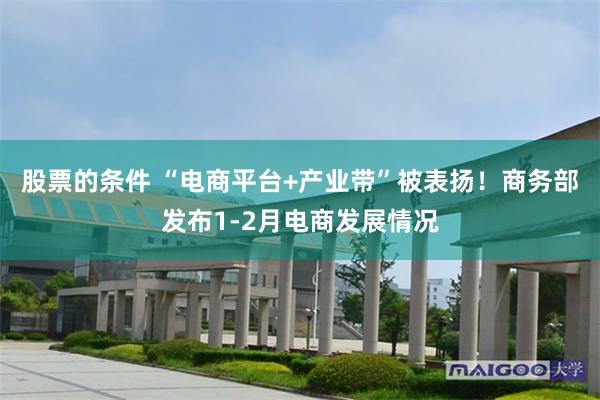 股票的条件 “电商平台+产业带”被表扬！商务部发布1-2月电商发展情况