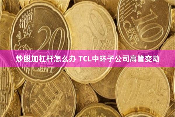 炒股加杠杆怎么办 TCL中环子公司高管变动